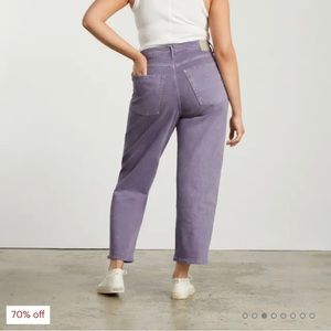 Everlane Way High Jean-Size 27-NWOT